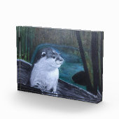 Otter-Fotoblock Fotoblock (Rechts)