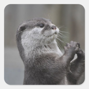 Otter-Genie-Aufkleber Quadratischer Aufkleber