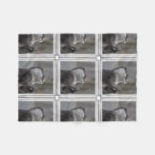 Otter-Genie Fleecedecke (Vorderseite (Horizontal))