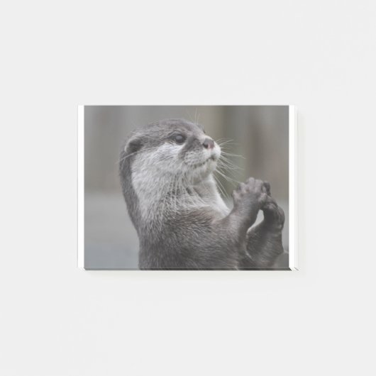Otter-Genie Post-it Klebezettel (Vorderseite)