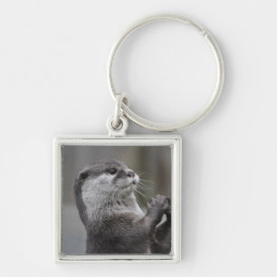 Otter-Genie-Schlüsselanhänger Schlüsselanhänger