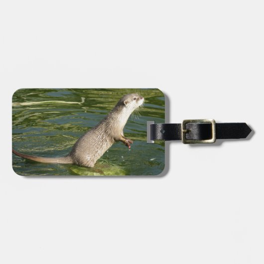 Otter-Gepäckanhänger Gepäckanhänger (Vorderseite horizontal)