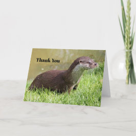 Otter Grass Wildlife Foto Dankeskarte