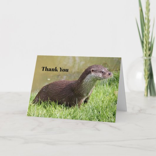 Otter Grass Wildlife Foto Dankeskarte (Vorderseite)