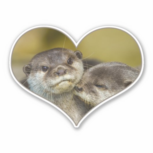 Otter Heart Aufkleber (Vorderseite)