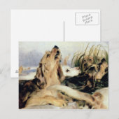 Otter Hounds Postkarte (Vorne/Hinten)
