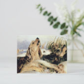 Otter Hounds Postkarte (Stehend Vorderseite)