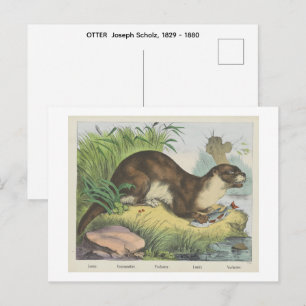 OTTER Joseph Scholz, 1829 - 1880 Postkarte