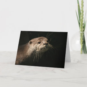Otter Karte