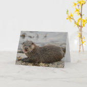 Otter Karte (Gelbe Blume)