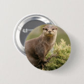 Otter-Knopf Button (Vorne & Hinten)