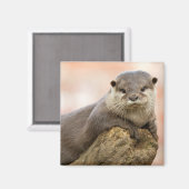 Otter Kühlschrankmagnet (Vorderseite/Rückseite)