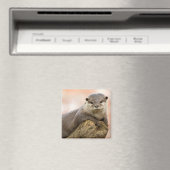 Otter Kühlschrankmagnet (In Situ (Geschirrspüler))