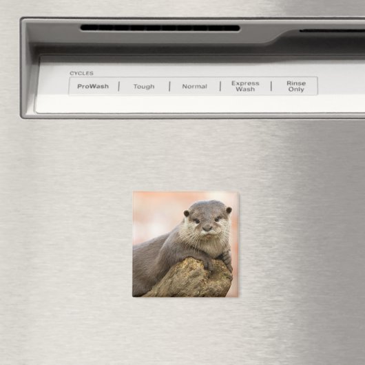 Otter Kühlschrankmagnet (In Situ (Geschirrspüler))