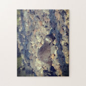 Otter Kurz Clawed in Drusillas Zoo in East Sussex Puzzle (Vertikal)