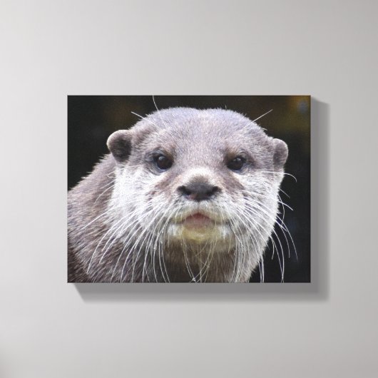 Otter Leinwanddruck (Vorderseite)