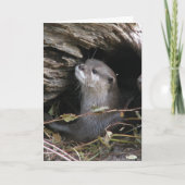 Otter-ly Delightful Karte (Vorderseite)
