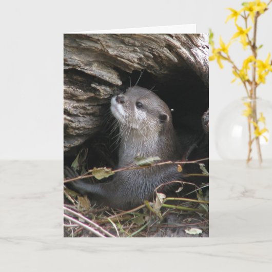 Otter-ly Delightful Karte (Gelbe Blume)