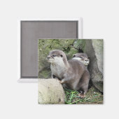 OTTER MAGNET (Vorderseite/Rückseite)