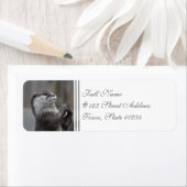 Otter Mastermind Address Labels (Insitu)