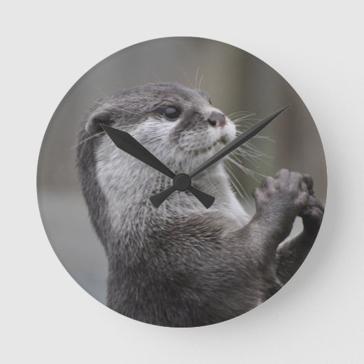 Otter Mastermind Clock Runde Wanduhr (Vorderseite)