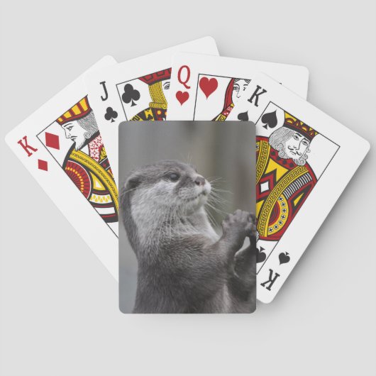 Otter Mastermind Deck of Cards Spielkarten (Rückseite)