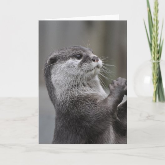 Otter Mastermind Grußkarte Karte (Vorderseite)