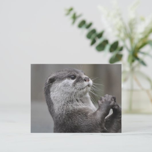 Otter Mastermind Postcard Postkarte (Stehend Vorderseite)