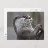 Otter Mastermind Postcard Postkarte (Vorne/Hinten)