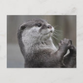 Otter Mastermind Postcard Postkarte (Vorderseite)