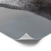 Otter Mastermind Poster (Ecke)