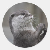 Otter Mastermind Sticker (Vorderseite)