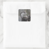 Otter Mastermind Stickers (Tasche)