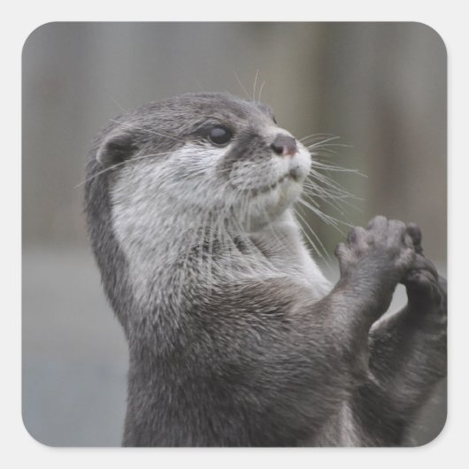 Otter Mastermind Stickers (Vorderseite)