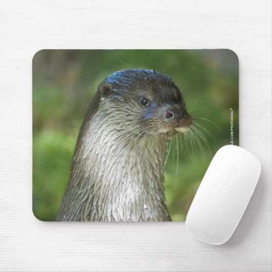 Otter Mousepad (Mit Mouse)