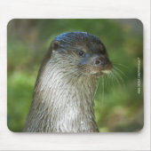 Otter Mousepad (Vorne)