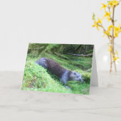 Otter Nature Scene Greeting Card Karte (Gelbe Blume)