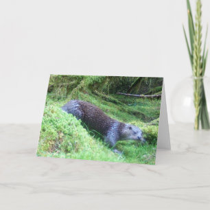 Otter Nature Scene Greeting Card Karte