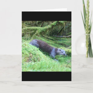 Otter-Naturszene  Fluss-Wildlife-Illustration Karte
