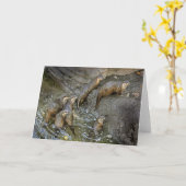Otter Pack Grußkarte Karte (Gelbe Blume)