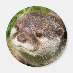 Otter-Porträt Magnet