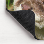 Otter-Porträt ....... Mousepad (Ecke)
