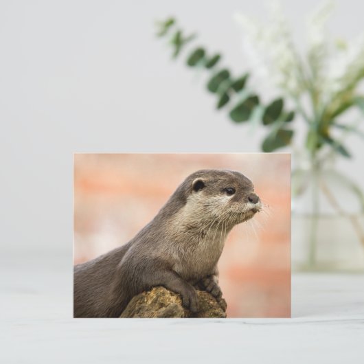 Otter Postcard Postkarte (Stehend Vorderseite)