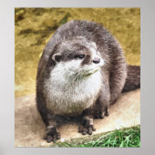 OTTER POSTER (Vorne)