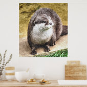 OTTER POSTER (Küche)