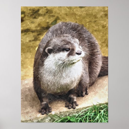 OTTER POSTER (Vorne)
