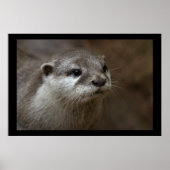 Otter Poster (Vorne)