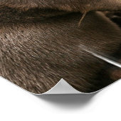 Otter Poster (Ecke)