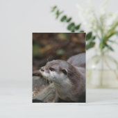 Otter Postkarte (Stehend Vorderseite)