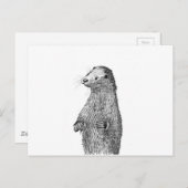Otter Postkarte (Vorne/Hinten)